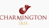 Charmington Iris